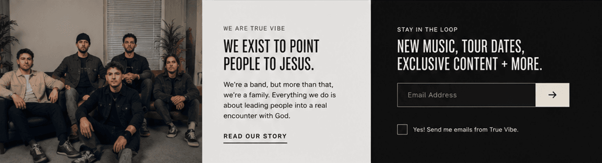 True Vibe footer screenshot